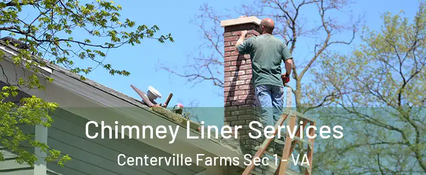 Chimney Liner Services Centerville Farms Sec 1 - VA