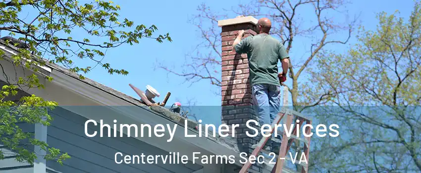 Chimney Liner Services Centerville Farms Sec 2 - VA