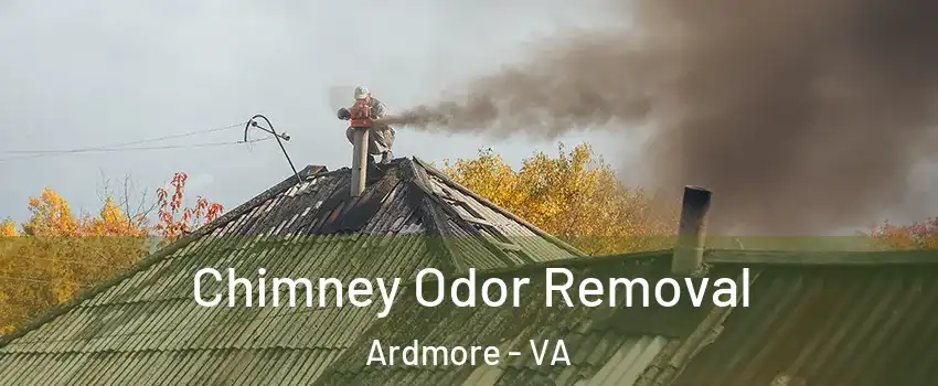 Chimney Odor Removal Ardmore - VA