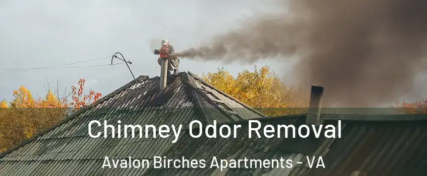 Chimney Odor Removal Avalon Birches Apartments - VA