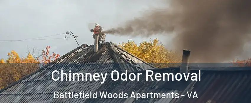 Chimney Odor Removal Battlefield Woods Apartments - VA