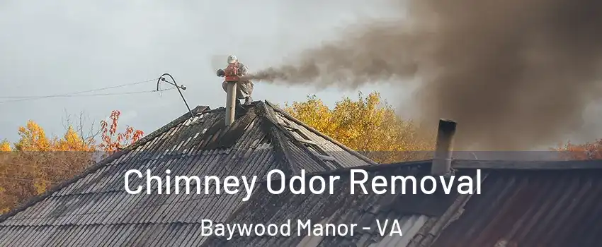 Chimney Odor Removal Baywood Manor - VA