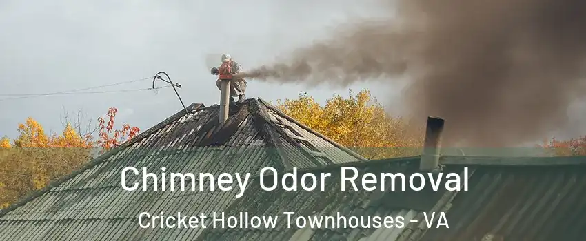 Chimney Odor Removal Cricket Hollow Townhouses - VA