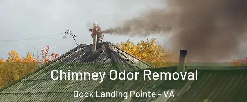 Chimney Odor Removal Dock Landing Pointe - VA