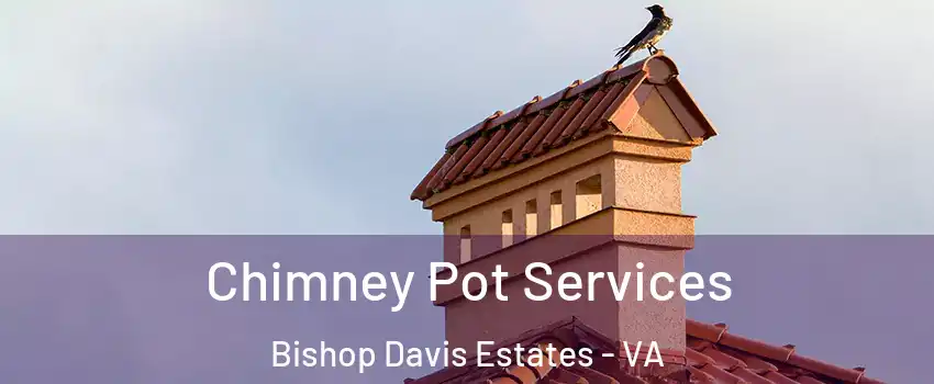 Chimney Pot Services Bishop Davis Estates - VA