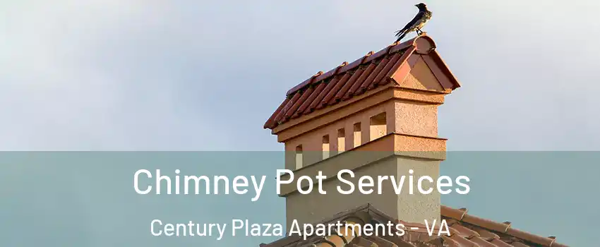 Chimney Pot Services Century Plaza Apartments - VA