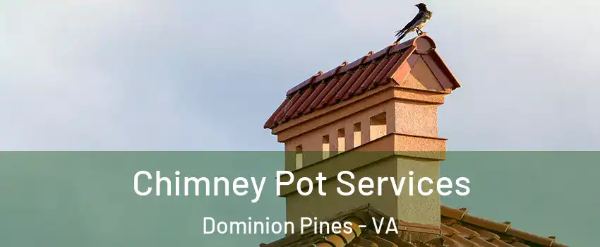 Chimney Pot Services Dominion Pines - VA