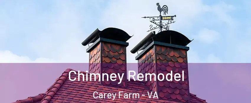 Chimney Remodel Carey Farm - VA