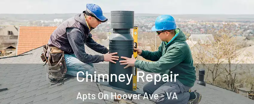 Chimney Repair Apts On Hoover Ave - VA