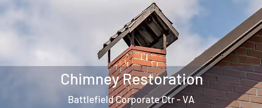 Chimney Restoration Battlefield Corporate Ctr - VA