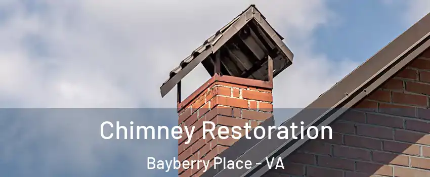 Chimney Restoration Bayberry Place - VA