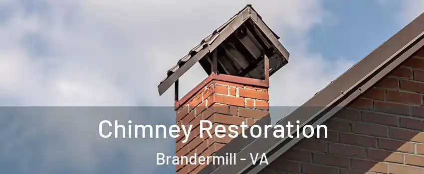 Chimney Restoration Brandermill - VA