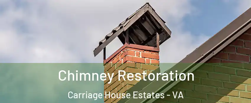 Chimney Restoration Carriage House Estates - VA