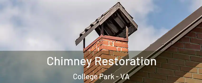 Chimney Restoration College Park - VA