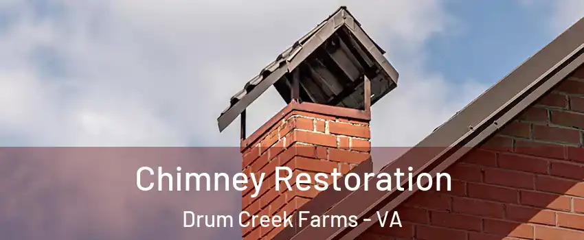 Chimney Restoration Drum Creek Farms - VA