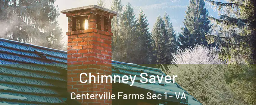 Chimney Saver Centerville Farms Sec 1 - VA