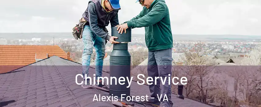 Chimney Service Alexis Forest - VA