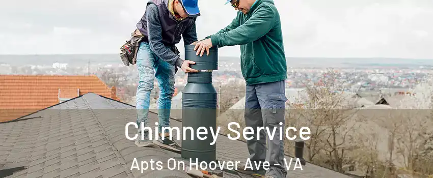 Chimney Service Apts On Hoover Ave - VA