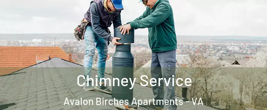 Chimney Service Avalon Birches Apartments - VA