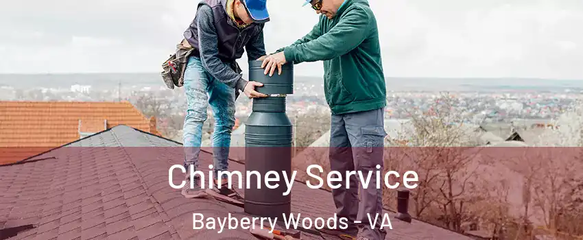 Chimney Service Bayberry Woods - VA