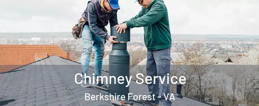 Chimney Service Berkshire Forest - VA