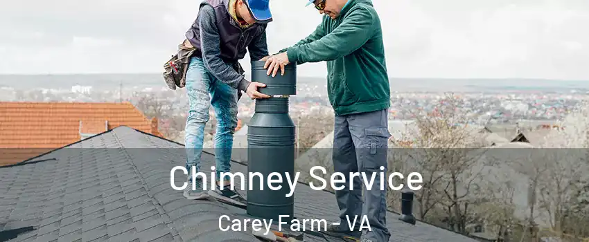 Chimney Service Carey Farm - VA