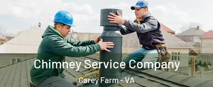 Chimney Service Company Carey Farm - VA