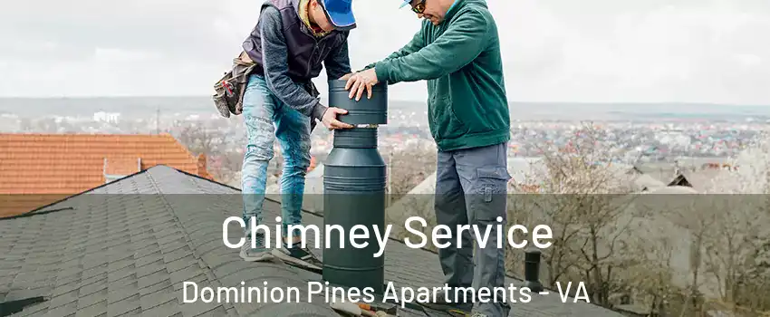 Chimney Service Dominion Pines Apartments - VA