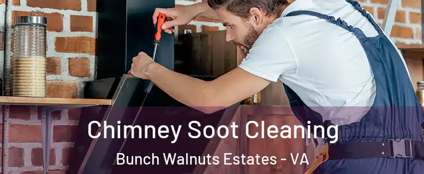 Chimney Soot Cleaning Bunch Walnuts Estates - VA