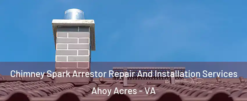 Chimney Spark Arrestor Repair And Installation Services Ahoy Acres - VA