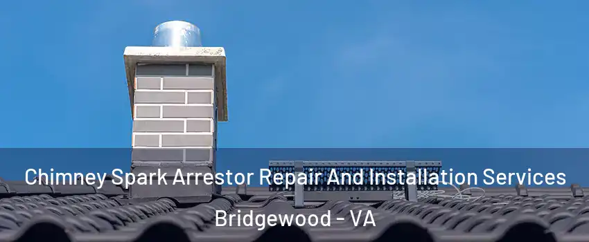 Chimney Spark Arrestor Repair And Installation Services Bridgewood - VA