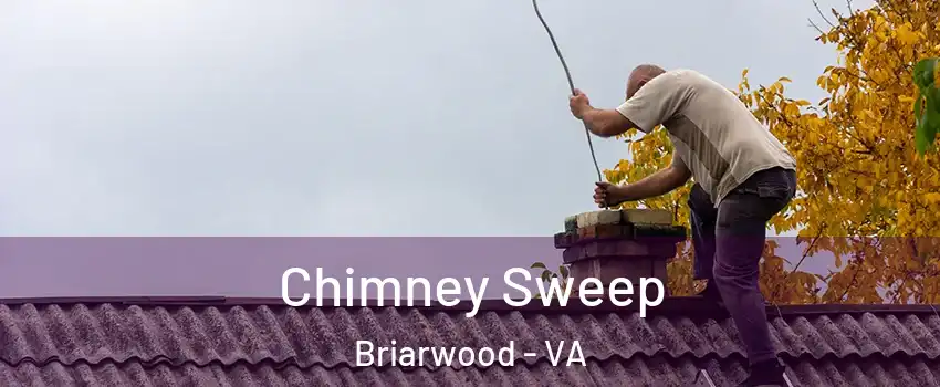 Chimney Sweep Briarwood - VA