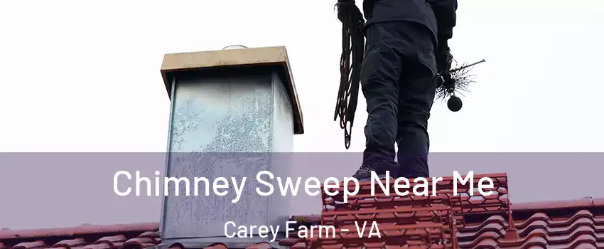 Chimney Sweep Near Me Carey Farm - VA