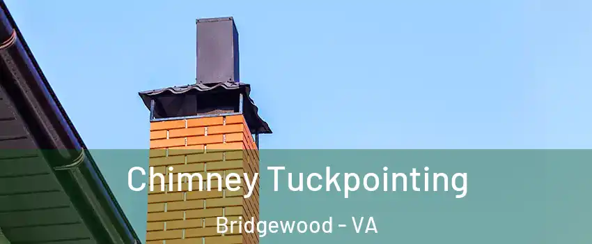 Chimney Tuckpointing Bridgewood - VA