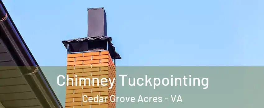 Chimney Tuckpointing Cedar Grove Acres - VA