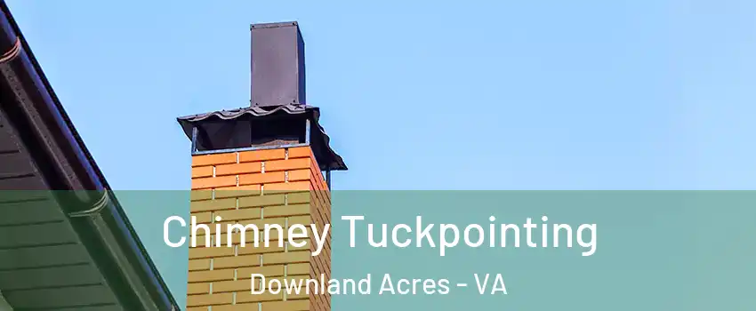 Chimney Tuckpointing Downland Acres - VA