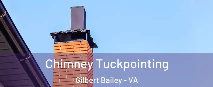 Chimney Tuckpointing Gilbert Bailey - VA