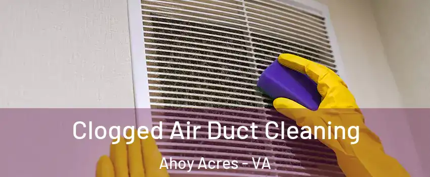 Clogged Air Duct Cleaning Ahoy Acres - VA