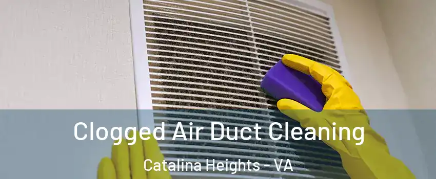 Clogged Air Duct Cleaning Catalina Heights - VA