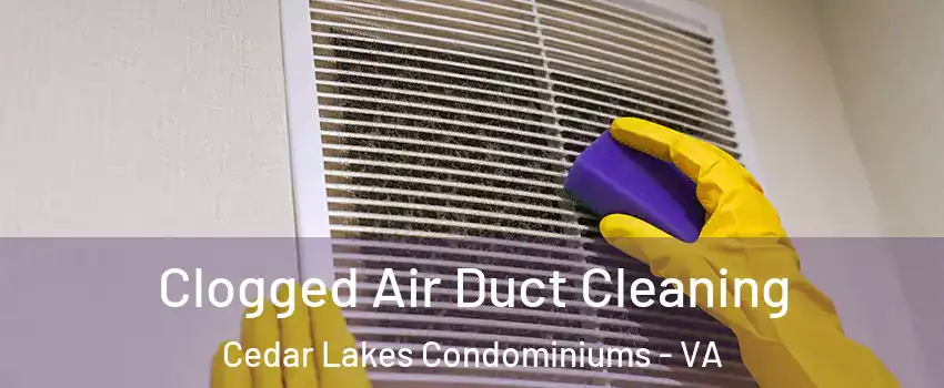 Clogged Air Duct Cleaning Cedar Lakes Condominiums - VA