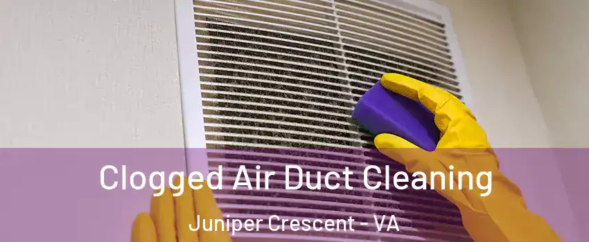 Clogged Air Duct Cleaning Juniper Crescent - VA