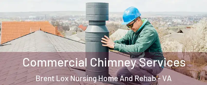 Commercial Chimney Services Brent Lox Nursing Home And Rehab - VA