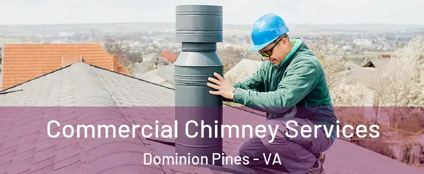 Commercial Chimney Services Dominion Pines - VA