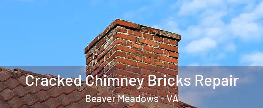 Cracked Chimney Bricks Repair Beaver Meadows - VA