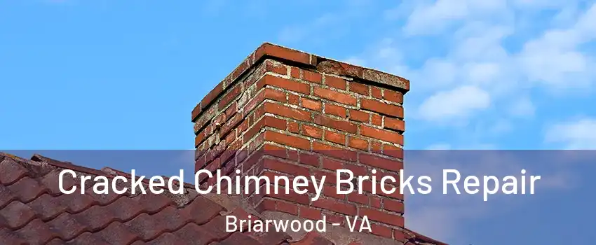 Cracked Chimney Bricks Repair Briarwood - VA