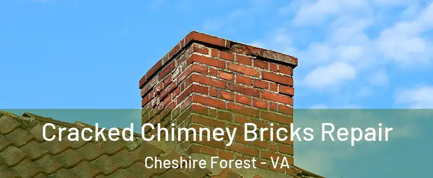 Cracked Chimney Bricks Repair Cheshire Forest - VA