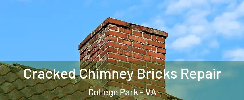 Cracked Chimney Bricks Repair College Park - VA