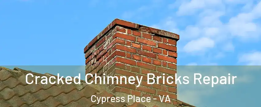 Cracked Chimney Bricks Repair Cypress Place - VA