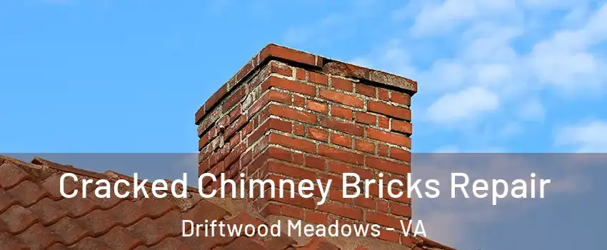 Cracked Chimney Bricks Repair Driftwood Meadows - VA