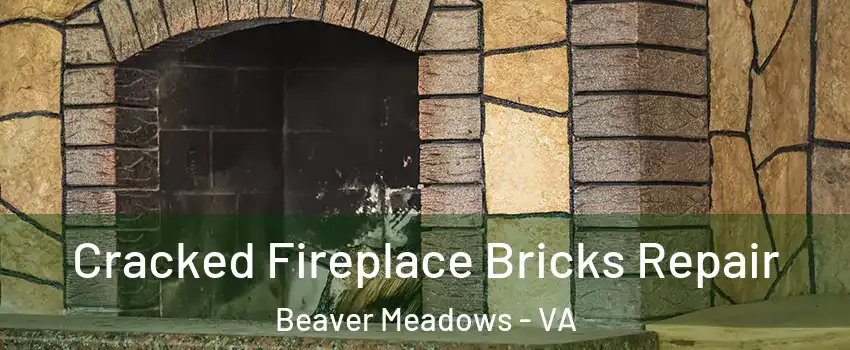 Cracked Fireplace Bricks Repair Beaver Meadows - VA